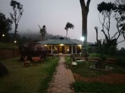 Neelakurunji Luxury Plantation Bungalow