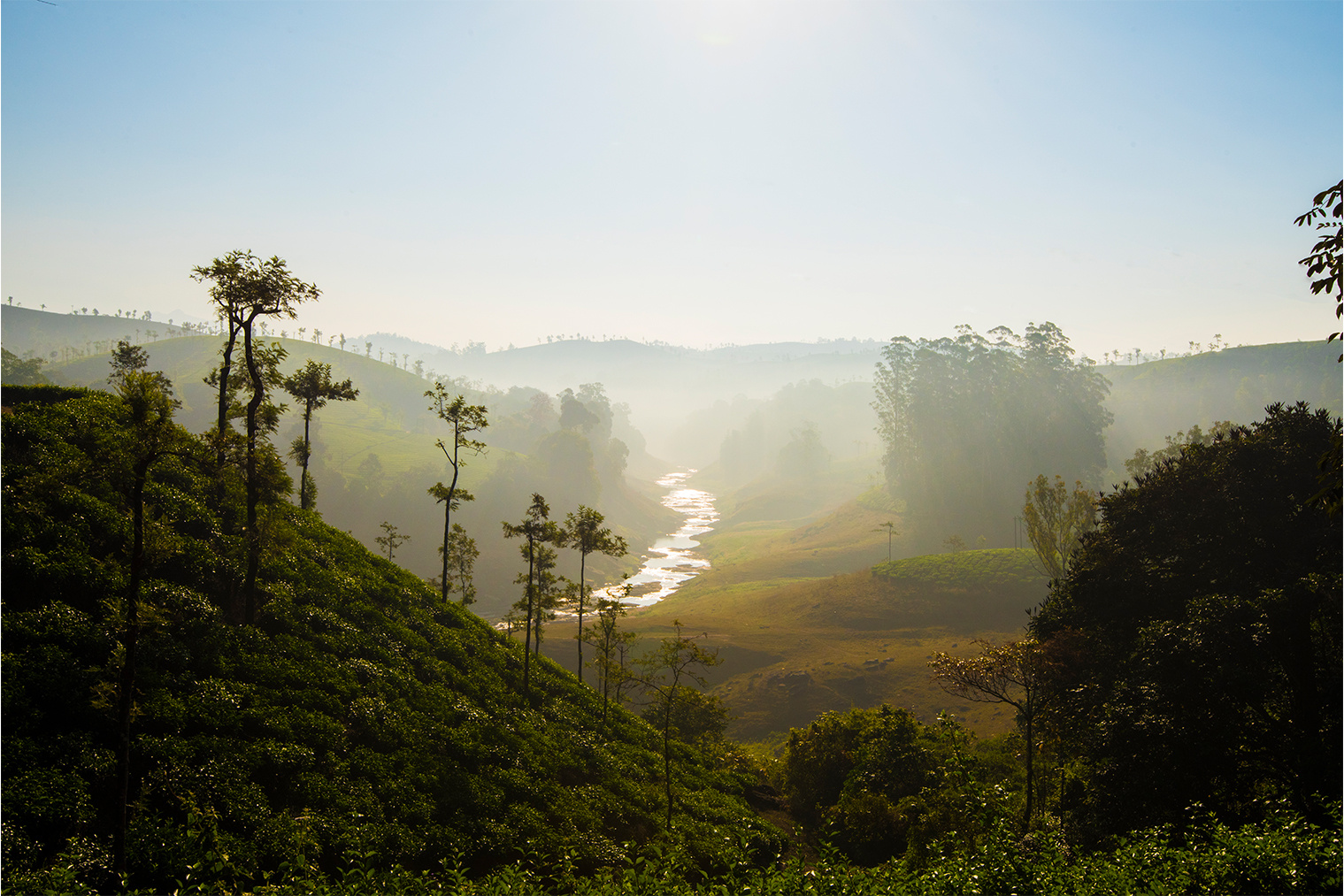 Plantation Resorts & Homestays