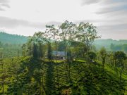 Sinnadorai’s Rotti Kadai