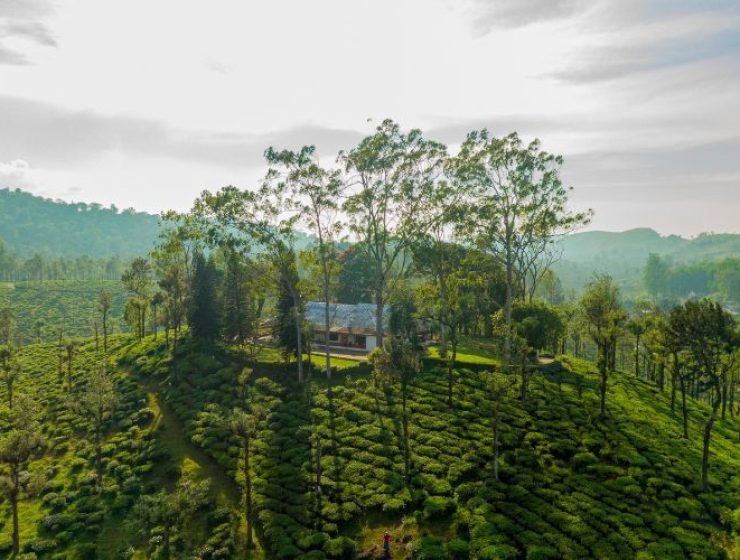 Sinnadorai’s Rotti Kadai