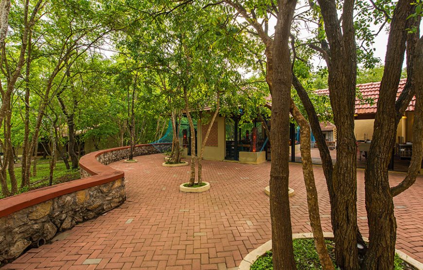 The Windflower Resort