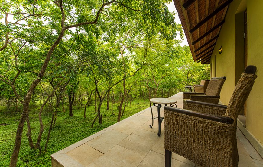 The Windflower Resort