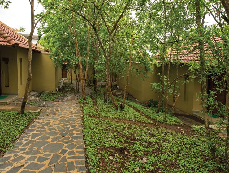 The Windflower Resort