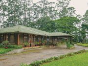 Stanmore Garden Bungalow